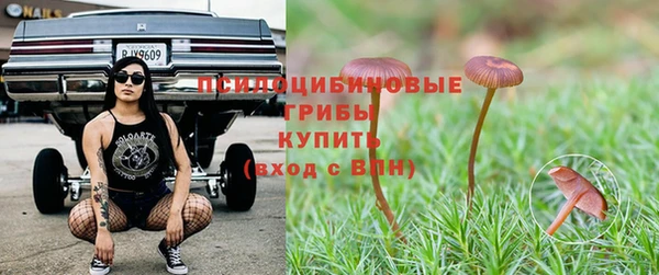MESCALINE Абаза